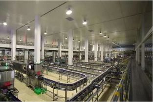 蒙牛达能智慧工厂落户金华，携手金华口腔医院引领健康消费新体验